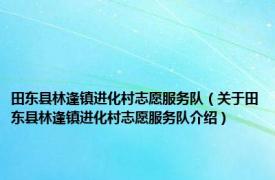 田东县林逢镇进化村志愿服务队（关于田东县林逢镇进化村志愿服务队介绍）