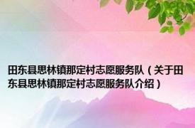 田东县思林镇那定村志愿服务队（关于田东县思林镇那定村志愿服务队介绍）