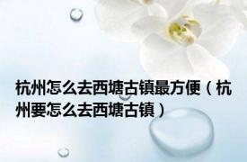 杭州怎么去西塘古镇最方便（杭州要怎么去西塘古镇）