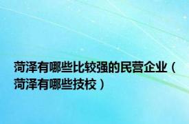 菏泽有哪些比较强的民营企业（菏泽有哪些技校）