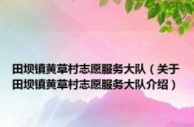 田坝镇黄草村志愿服务大队（关于田坝镇黄草村志愿服务大队介绍）