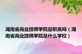 湖南省商业技师学院是职高吗（湖南省商业技师学院是什么学校）