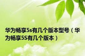 华为畅享5s有几个版本型号（华为畅享5S有几个版本）