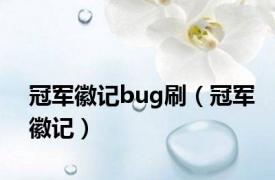 冠军徽记bug刷（冠军徽记）