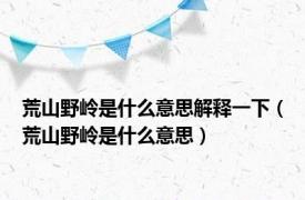 荒山野岭是什么意思解释一下（荒山野岭是什么意思）