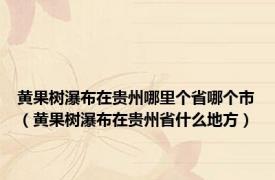 黄果树瀑布在贵州哪里个省哪个市（黄果树瀑布在贵州省什么地方）