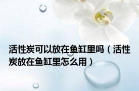 活性炭可以放在鱼缸里吗（活性炭放在鱼缸里怎么用）