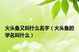 火头鱼又叫什么名字（火头鱼的学名叫什么）