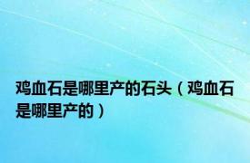 鸡血石是哪里产的石头（鸡血石是哪里产的）