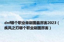 dnf哪个职业单刷图最厉害2023（疾风之刃哪个职业刷图厉害）