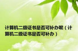 计算机二级证书是否可补办呢（计算机二级证书是否可补办）