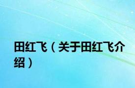 田红飞（关于田红飞介绍）