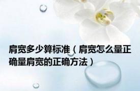 肩宽多少算标准（肩宽怎么量正确量肩宽的正确方法）