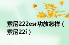 索尼222esr功放怎样（索尼22i）