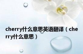 cherry什么意思英语翻译（cherry什么意思）