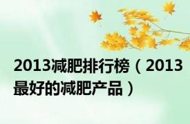 2013减肥排行榜（2013最好的减肥产品）