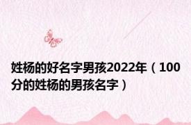 姓杨的好名字男孩2022年（100分的姓杨的男孩名字）