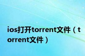 ios打开torrent文件（torrent文件）