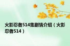 火影忍者514集剧情介绍（火影忍者514）