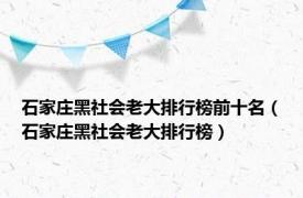 石家庄黑社会老大排行榜前十名（石家庄黑社会老大排行榜）