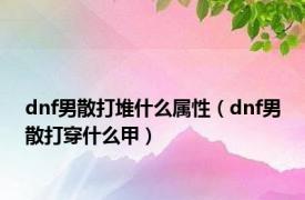 dnf男散打堆什么属性（dnf男散打穿什么甲）