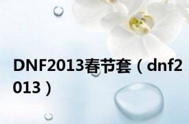 DNF2013春节套（dnf2013）