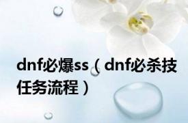 dnf必爆ss（dnf必杀技任务流程）