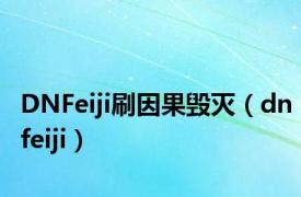 DNFeiji刷因果毁灭（dnfeiji）