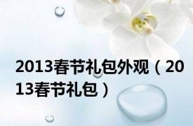 2013春节礼包外观（2013春节礼包）