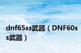 dnf65ss武器（DNF60ss武器）