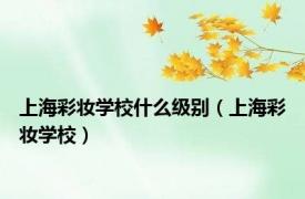 上海彩妆学校什么级别（上海彩妆学校）