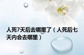 人死7天后去哪里了（人死后七天内会去哪里）