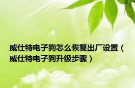 威仕特电子狗怎么恢复出厂设置（威仕特电子狗升级步骤）