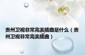 贵州卫视非常完美插曲是什么（贵州卫视非常完美插曲）