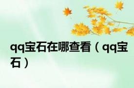 qq宝石在哪查看（qq宝石）