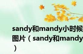 sandy和mandy小时候图片（sandy和mandy）