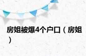 房姐被爆4个户口（房姐）