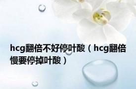 hcg翻倍不好停叶酸（hcg翻倍慢要停掉叶酸）