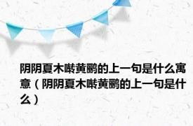 阴阴夏木啭黄鹂的上一句是什么寓意（阴阴夏木啭黄鹂的上一句是什么）