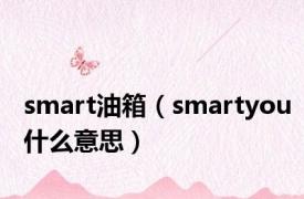 smart油箱（smartyou什么意思）