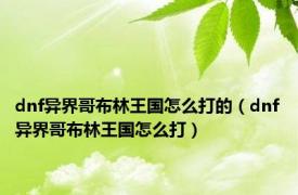 dnf异界哥布林王国怎么打的（dnf异界哥布林王国怎么打）