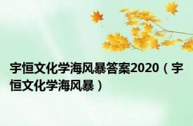 宇恒文化学海风暴答案2020（宇恒文化学海风暴）