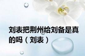 刘表把荆州给刘备是真的吗（刘表）