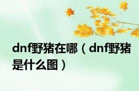 dnf野猪在哪（dnf野猪是什么图）