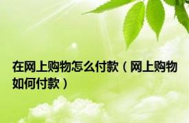 在网上购物怎么付款（网上购物如何付款）