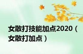 女散打技能加点2020（女散打加点）