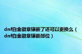 dnf白金徽章镶嵌了还可以更换么（dnf白金徽章镶嵌部位）