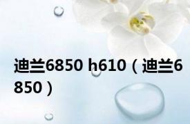 迪兰6850 h610（迪兰6850）