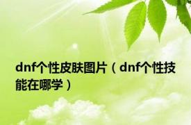 dnf个性皮肤图片（dnf个性技能在哪学）