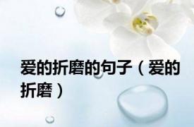 爱的折磨的句子（爱的折磨）